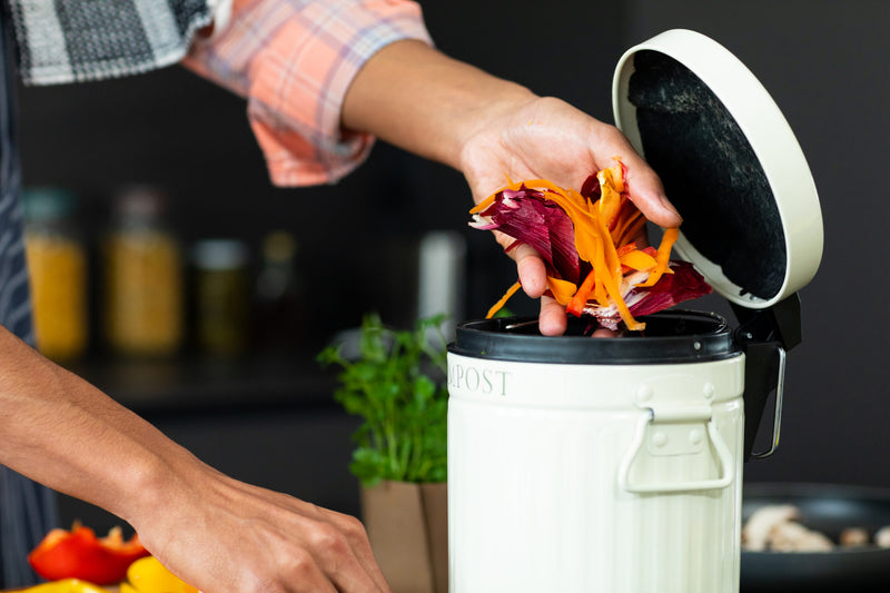 Compost Bin For Meat Scraps