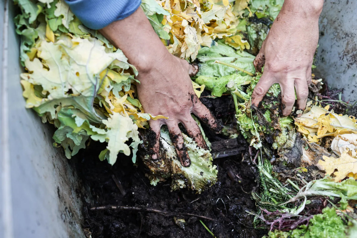 Why Choose the Best Composter Australia?