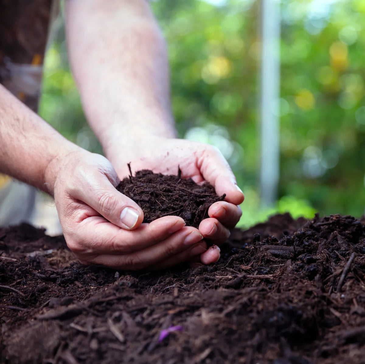 Why Choose a Compost Small Bin?