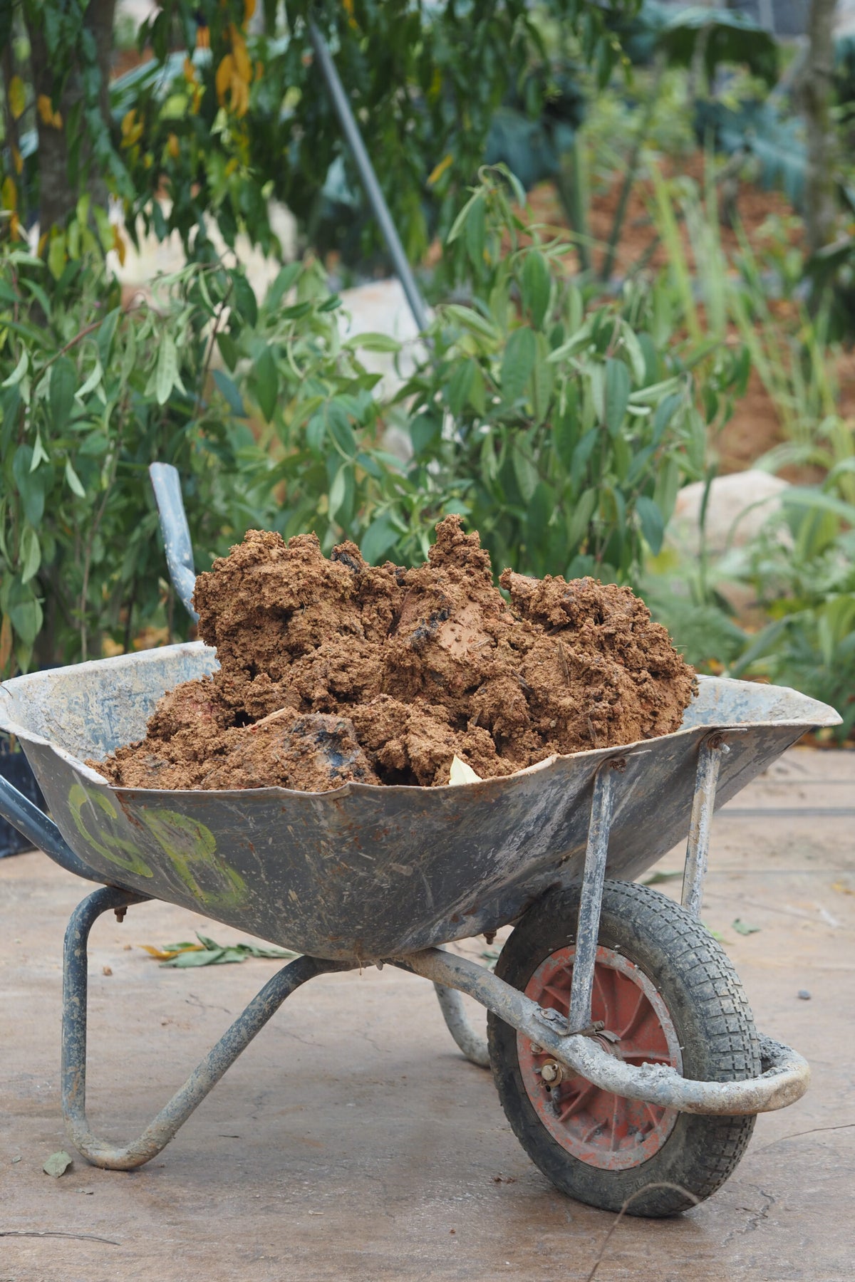What Can You Compost?