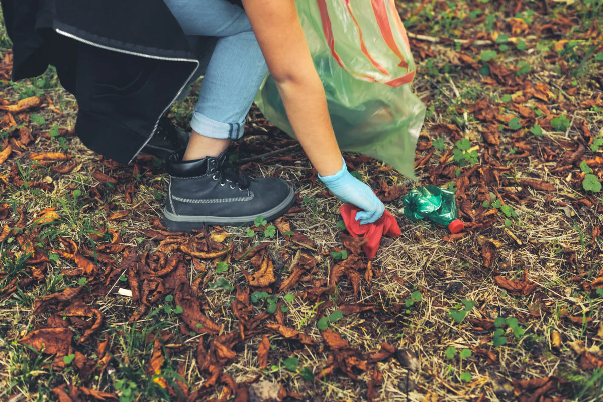 Why Choose Compost Worms?