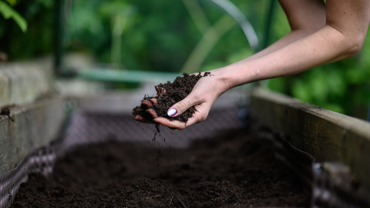 What Can You Compost?