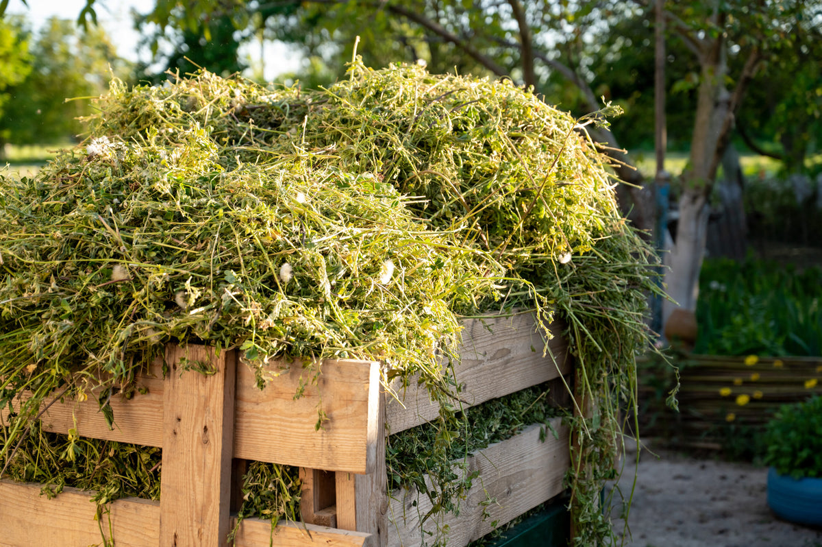 Compost More Kitchen Waste with Confidence