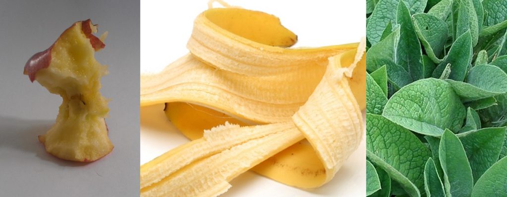 Apple-Core-Banana-Skin-Comfrey