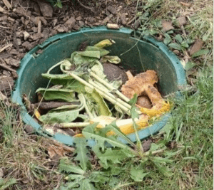 Compots_in_Winter