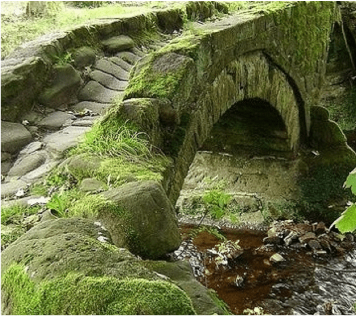 Moss_covered_bridge