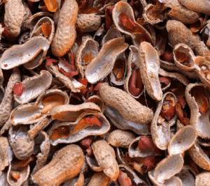 Peanut_Husks