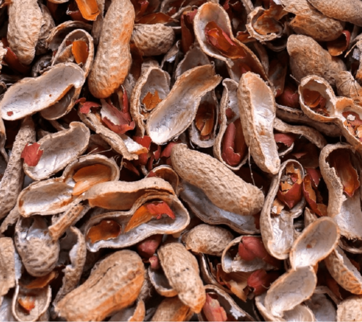 Peanut_Husks