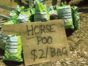 Composting Horse Manure - BEWARE - Direct Compost Solutions