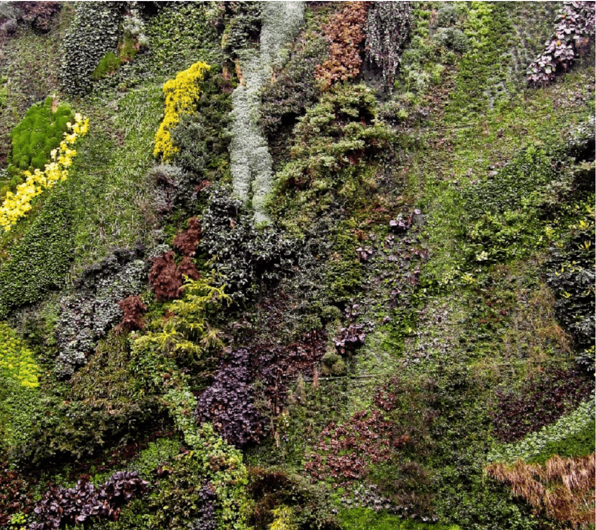 Wall_Garden