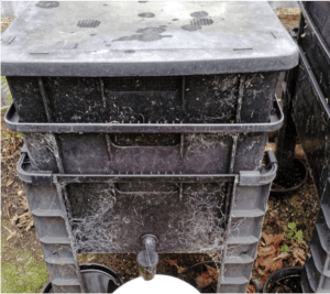 worm_farm_composter