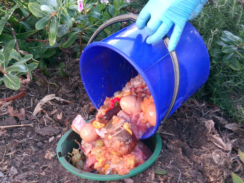 Filling a Compot with Organic Matter