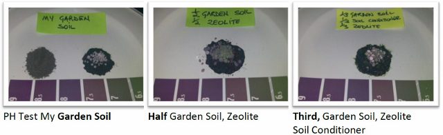 pH_tests_in_my_garden