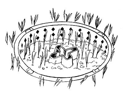 Reverse the lid and fill with soil to plant your seeds