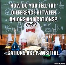 difference-bwt-Cations-and-Ions