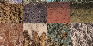 soil_colour