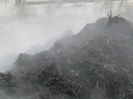 steaming-compost