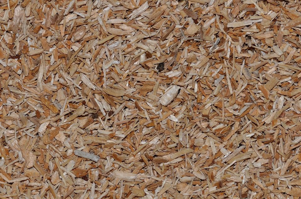 woodchips as a ground cover