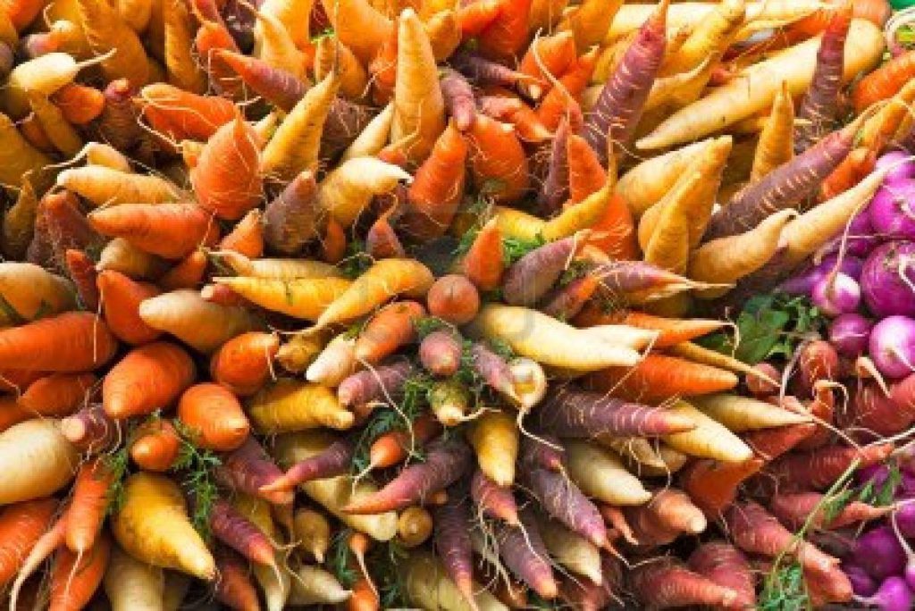 Multicoloured Root Vegetables
