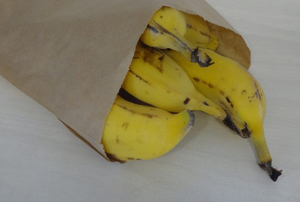 Bananas ripening in brown paper bag