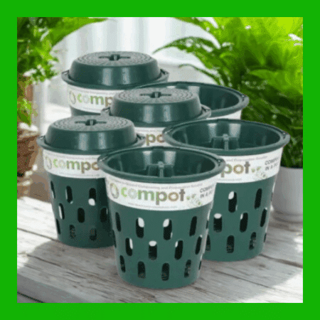 Compot & Lid x 6 | 5L Compost Bin