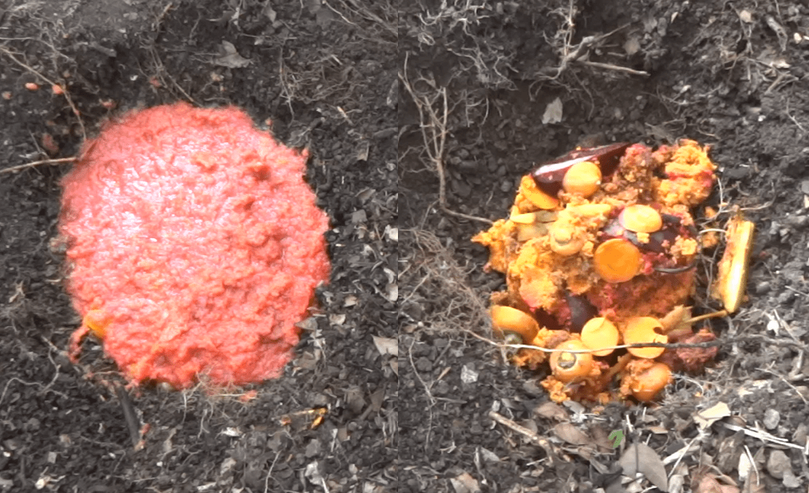 Composting Juiced Pulp Direct Compost Solutions