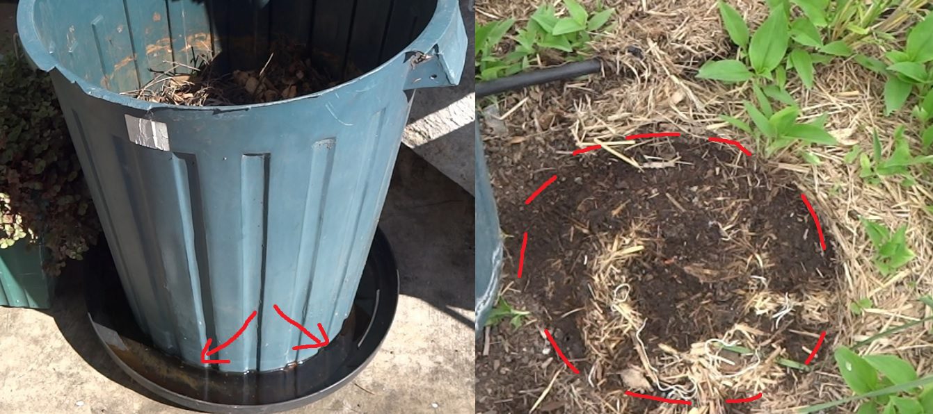 Composting Scurvy Weed Direct Compost Solutions