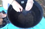 Composting_Dog_Poop