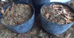 Composting_Dog_poop_&_Compostable_Bags