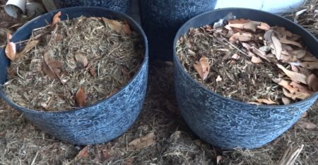 Composting_Dog_poop_&_Compostable_Bags