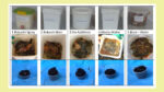 Compost_Comparison_5 Methods