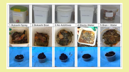 Compost_Comparison_5 Methods