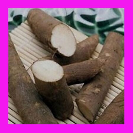 BURDOCK-TAKINOGAWA LONG (GOBO)