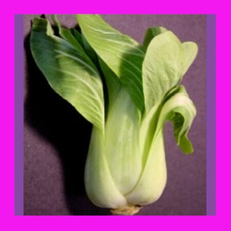 CABBAGE-BABY BOK CHOY