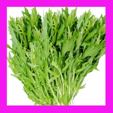 CABBAGE-MIZUNA (XIU CAI or KYONA)