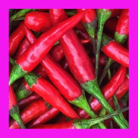 CHILLI-THAI-BIRDS EYE-LARGE