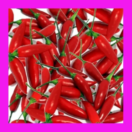 CHILLI-SMALL THAI-BIRDS EYE