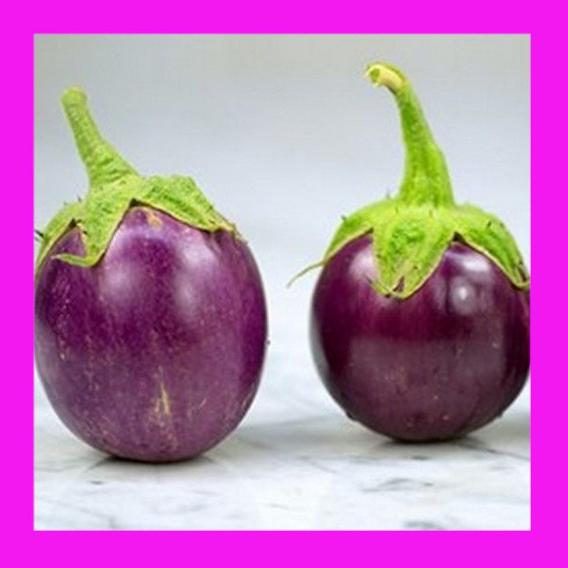 EGGPLANT-THAI PURPLE BALL 1 EGGPLANT-THAI PURPLE BALL