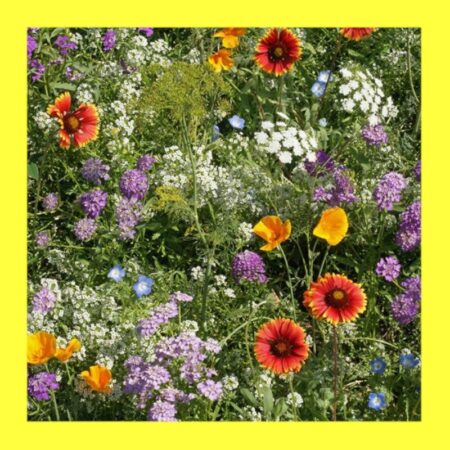 FLOWER-GOOD BUG MIX (5G)