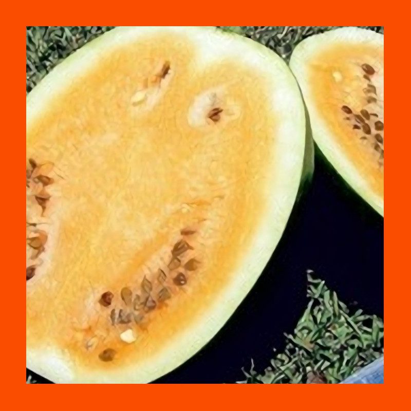 FRUIT-CHAMPAGNE-WATERMELON 1 FRUIT-CHAMPAGNE-WATERMELON