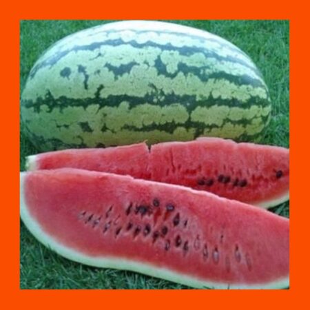 FRUIT-KLONDYKE-WATERMELON