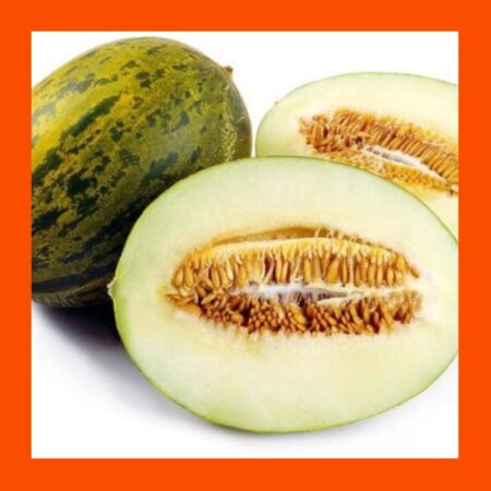 FRUIT-SPANISH-PIEL de SAPO-MELON
