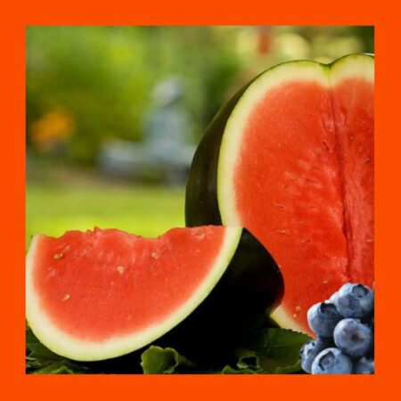 FRUIT-SUGAR BABY-WATERMELON
