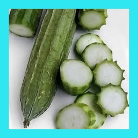 GOURD-LUFFA ANGLED-SIN QUA