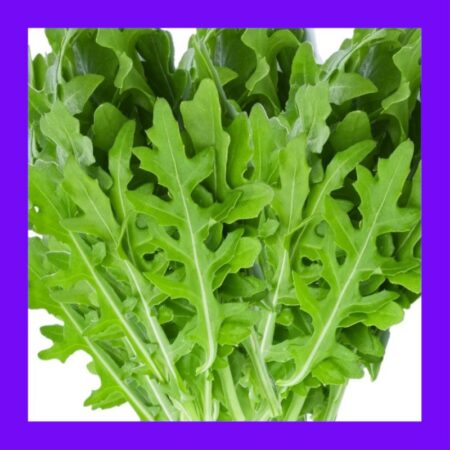 HERB-SALAD ROCKET-ARUGULA