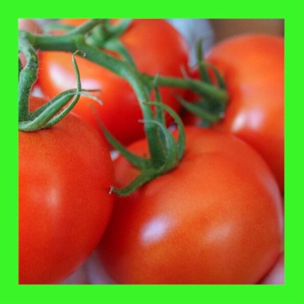 Category Colour Guide 5 TOMATO SCORPIO