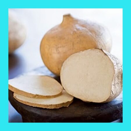 YAM-JICAMA-YEE KARMA-CLIMBER