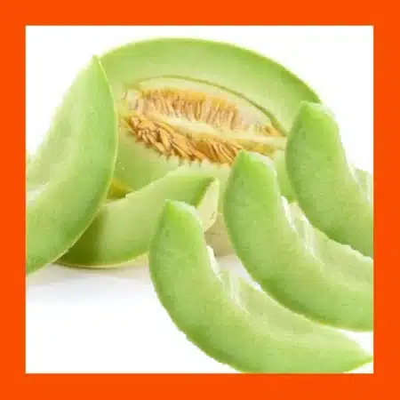 FRUIT_HONEYDEW_GREEN_FLESH_MELON