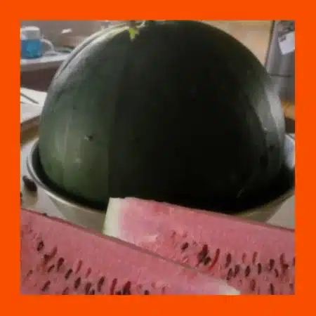 FRUIT_TINY_TOT_WATERMELON